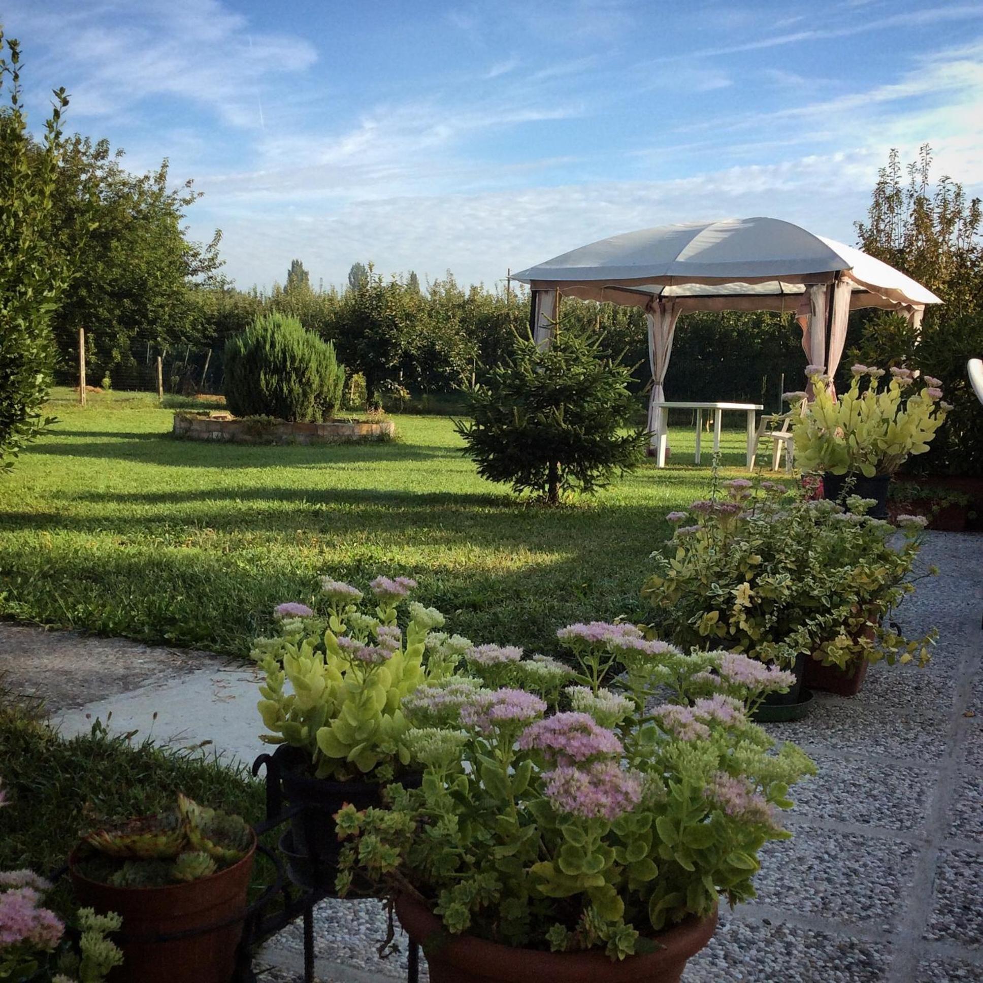 I Due Orfici Cona (Emilia-Romagna) Exterior foto